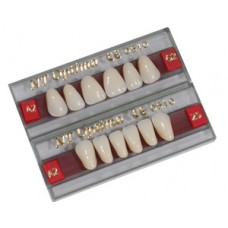 NT OPTIMA / 3 Layer Artificial Teeth