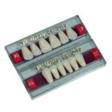 NT UNAY / 2 Layer Artificial Teeth